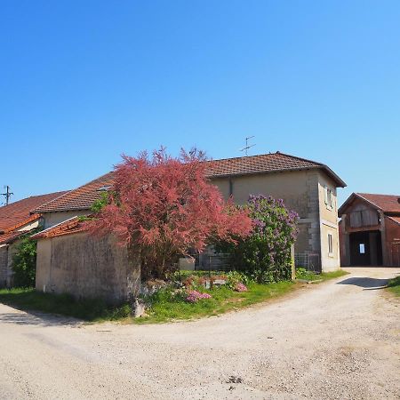 Le Gite Du Haut Châtillon-la-Palud Εξωτερικό φωτογραφία