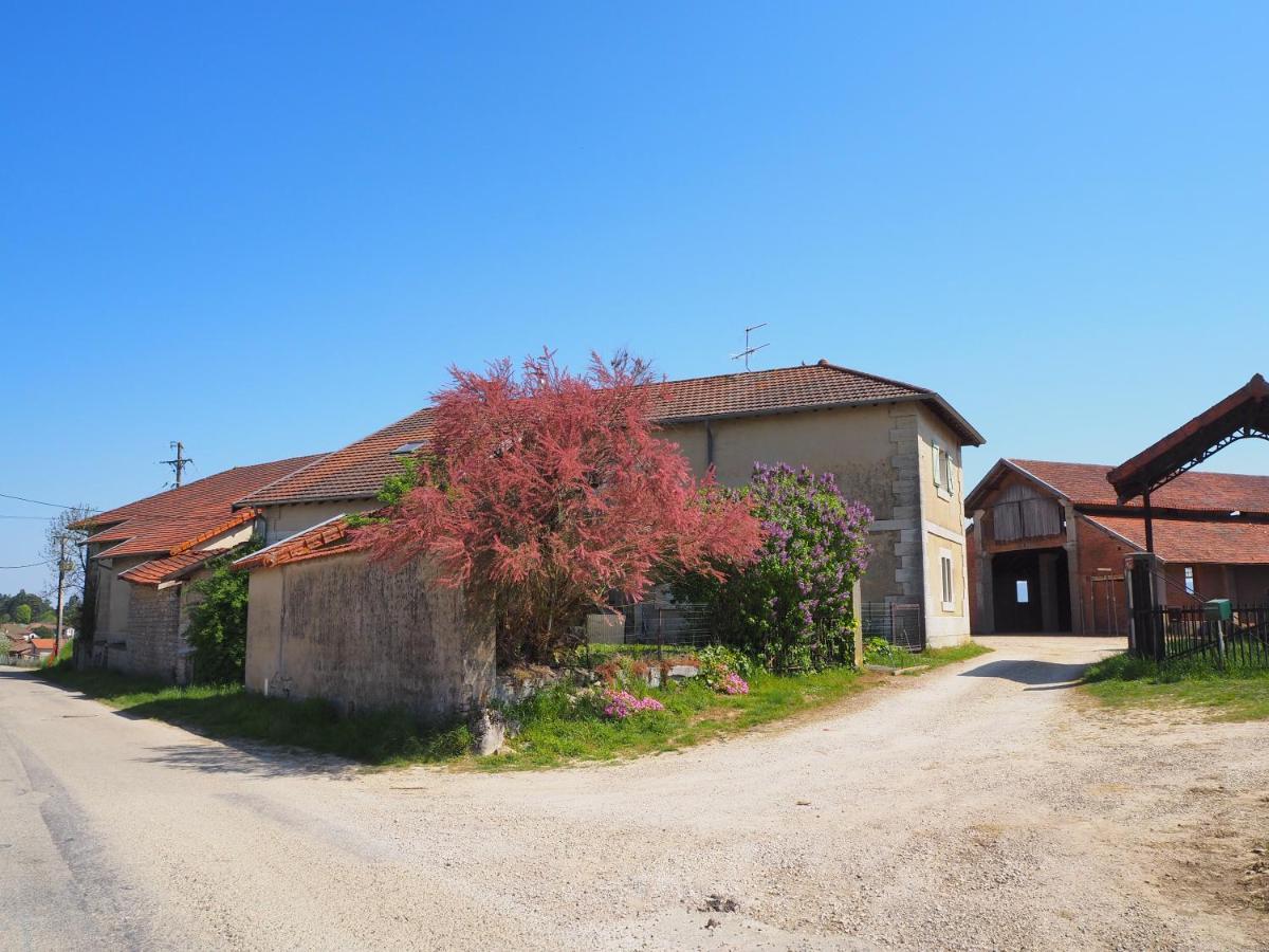 Le Gite Du Haut Châtillon-la-Palud Εξωτερικό φωτογραφία